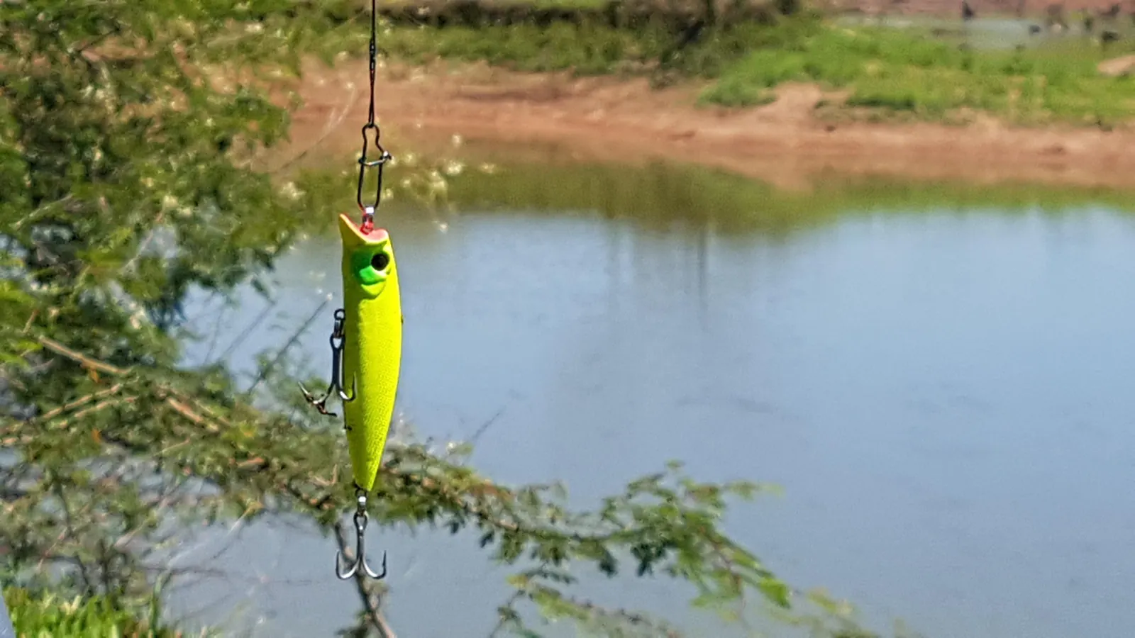 Señuelo amarillo colgado sobre un lago de orillas de tierra