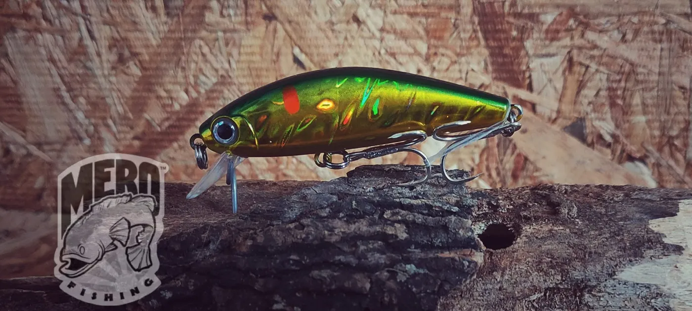 Test appat poisson